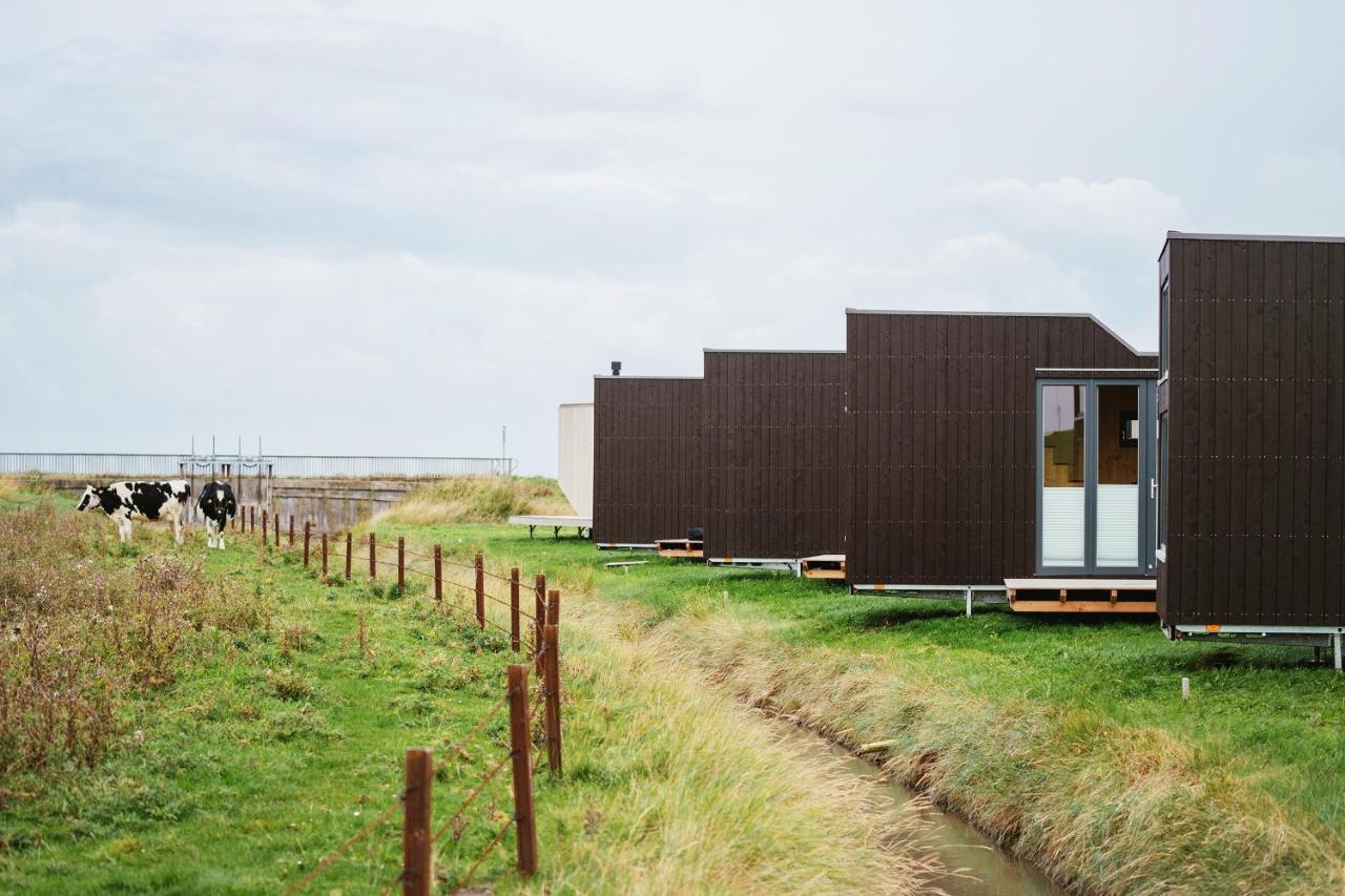 Tiny House Nature 9 Zur Kuhweide - Green Tiny Village Harlesiel Carolinensiel Exterior foto